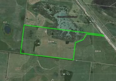 Venta de Campo