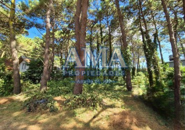 Lote Multifamiliar en Pinamar